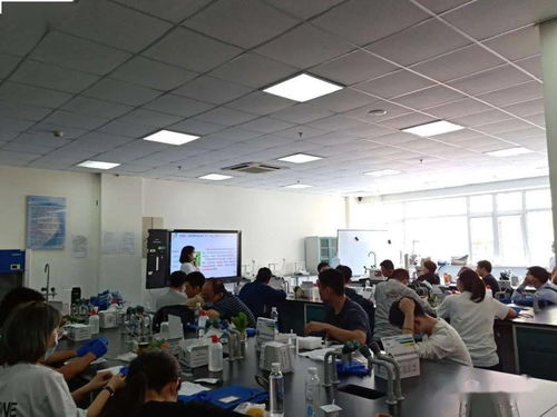 共建食品安全環境 守護百姓 舌尖健康 區市場監管局開展2020大型活動食品安全保障專題培訓