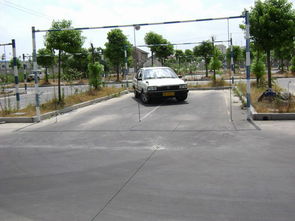 上海學(xué)車(chē)價(jià)格 南市駕校c1 手動(dòng)檔小車(chē) 周六至周日培訓(xùn),學(xué)費(fèi)僅7000元