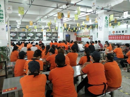 皖北經(jīng)濟(jì)技術(shù)學(xué)校召開(kāi)食堂食品安全管理與操作規(guī)范 培訓(xùn)會(huì)