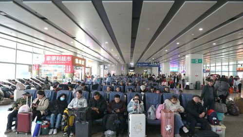 長(zhǎng)沙汽車西站春運(yùn)客流高峰來臨 駕駛員培訓(xùn)助力安全出行